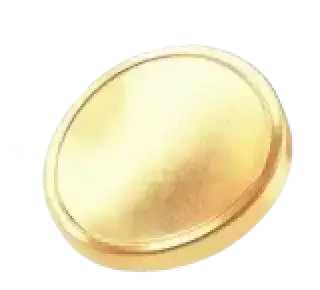 Bohemium AI platforma Česko